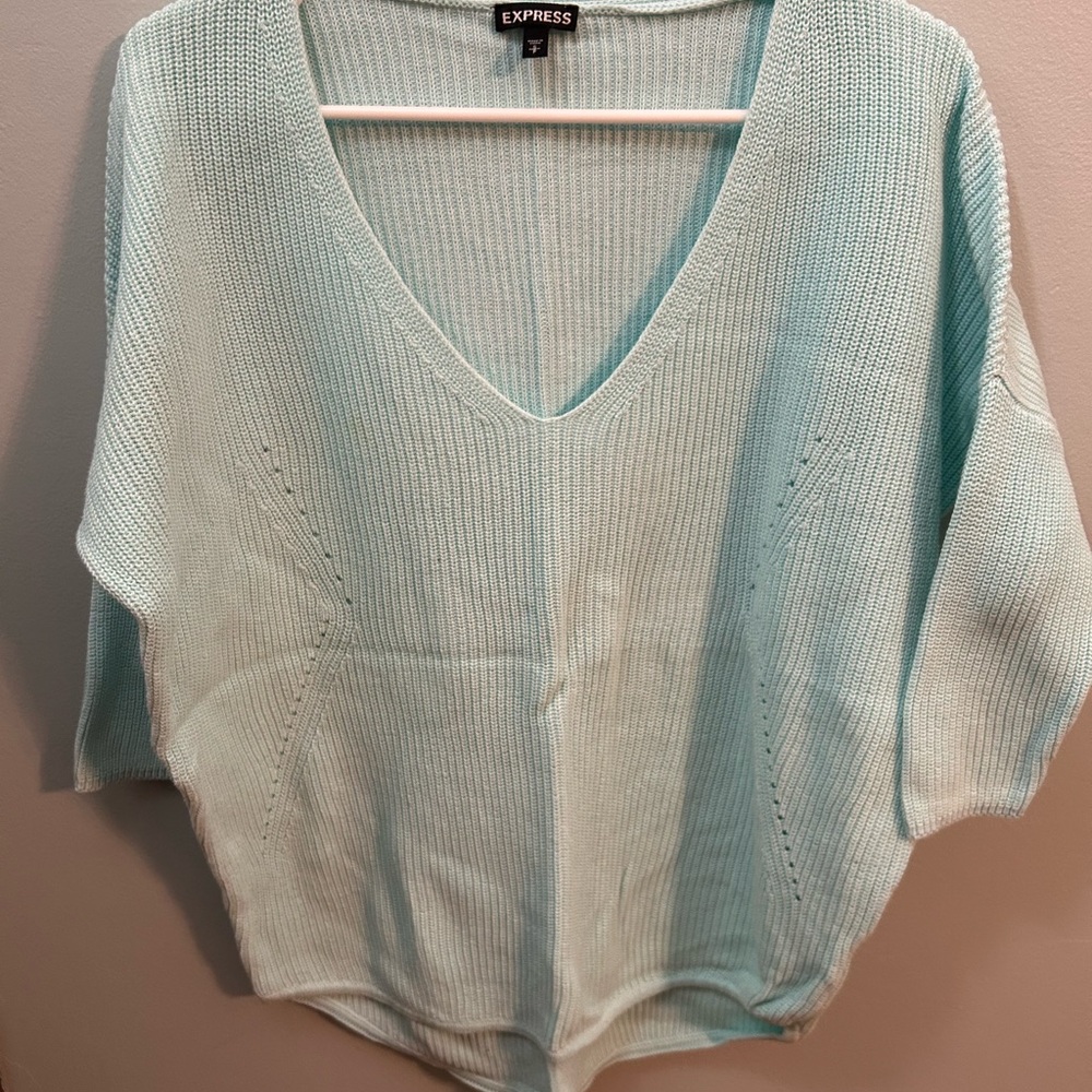 Express Women's Soft Blue V-Neck Sweater